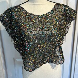 Black Sequined Multicolor Lace Sheer Cover